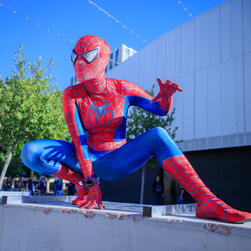 Spider-Girl